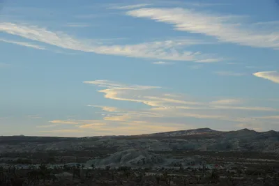 DSC_0293 (Large).JPG